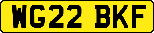 WG22BKF