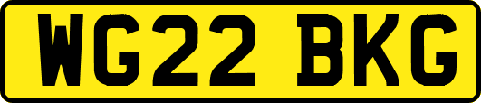WG22BKG