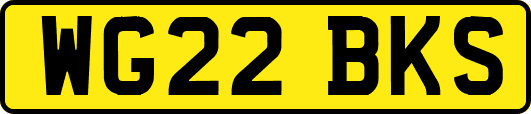 WG22BKS