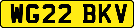 WG22BKV