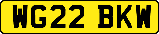 WG22BKW