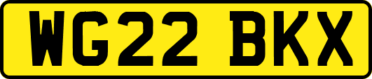 WG22BKX