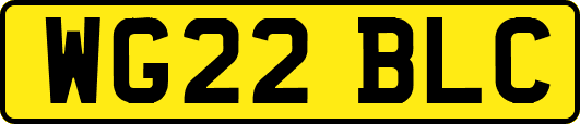 WG22BLC
