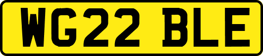 WG22BLE