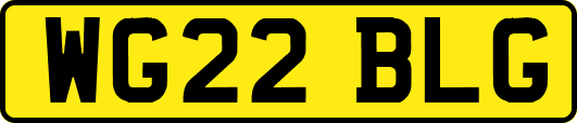 WG22BLG