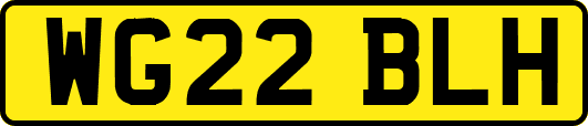 WG22BLH