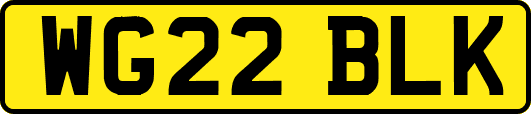 WG22BLK