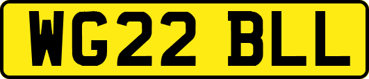 WG22BLL