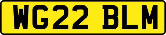 WG22BLM