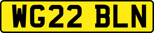 WG22BLN