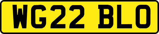 WG22BLO