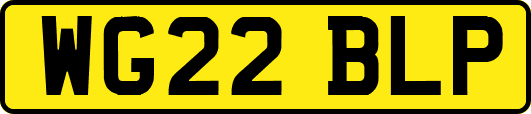 WG22BLP
