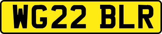 WG22BLR