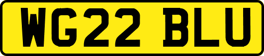 WG22BLU