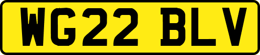 WG22BLV