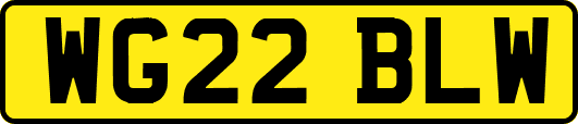 WG22BLW
