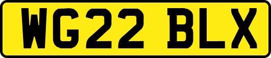 WG22BLX