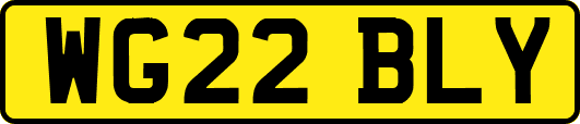 WG22BLY