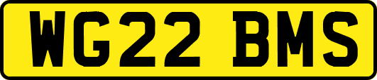 WG22BMS