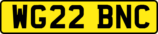 WG22BNC