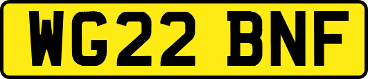 WG22BNF