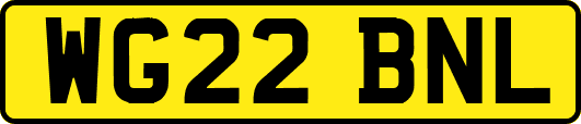 WG22BNL