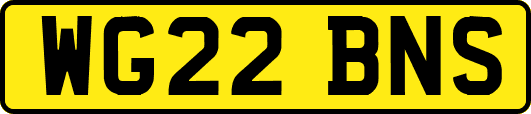 WG22BNS