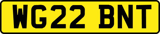 WG22BNT