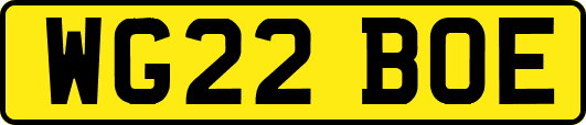 WG22BOE