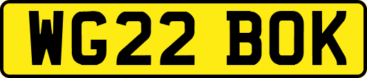 WG22BOK