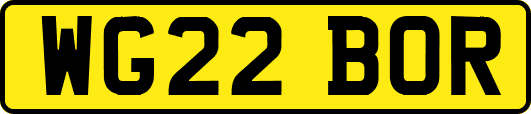 WG22BOR