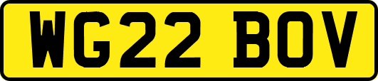WG22BOV