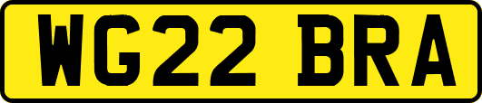 WG22BRA