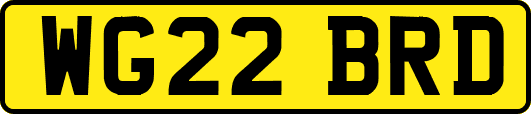 WG22BRD