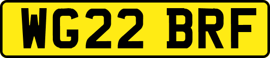 WG22BRF