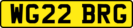 WG22BRG