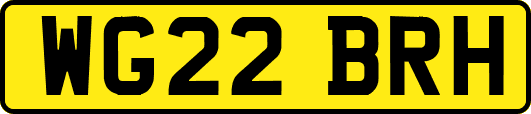 WG22BRH