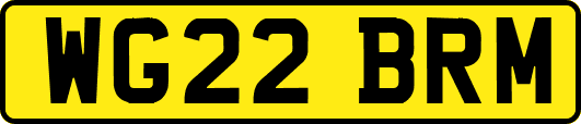 WG22BRM