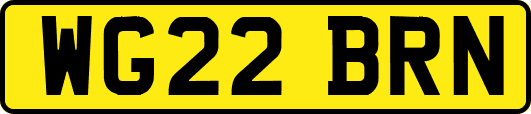 WG22BRN
