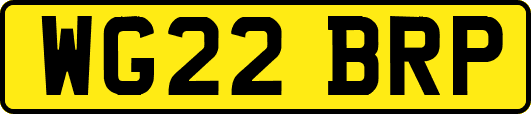 WG22BRP