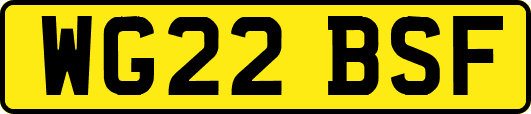 WG22BSF
