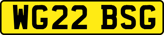 WG22BSG