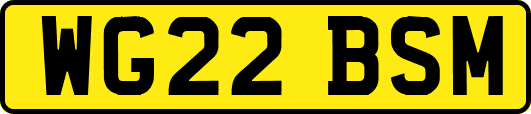 WG22BSM