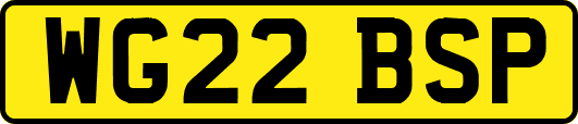 WG22BSP