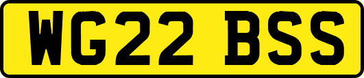WG22BSS