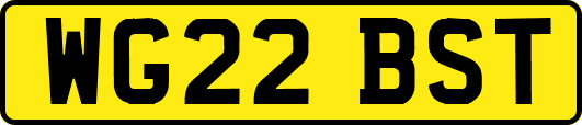 WG22BST