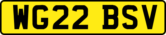 WG22BSV