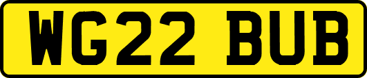 WG22BUB