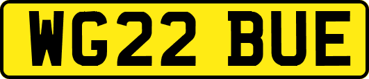 WG22BUE