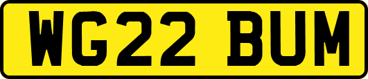 WG22BUM
